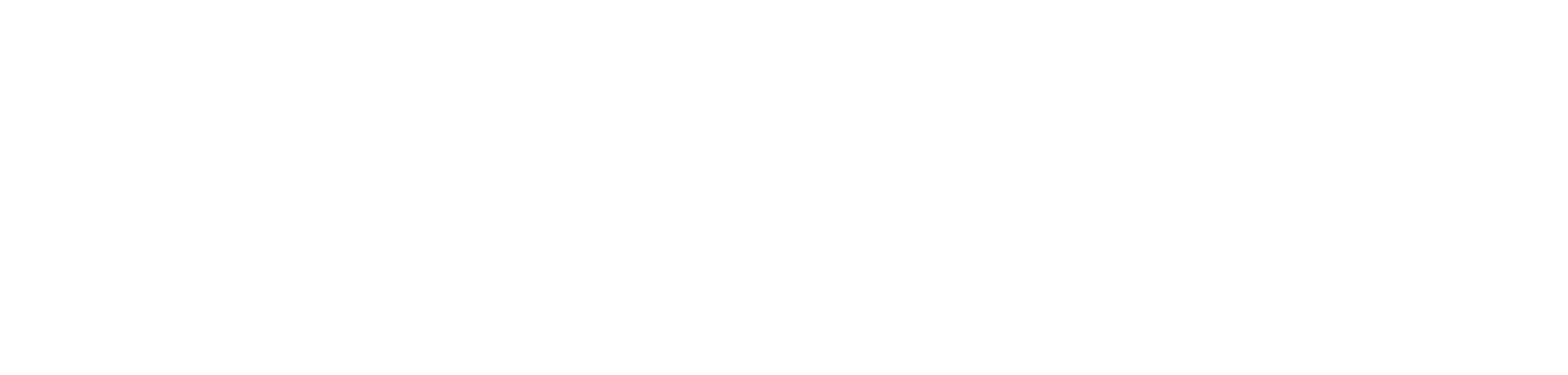 fiberoptic-bau.de